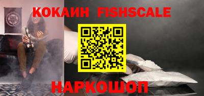 мет Кингисепп