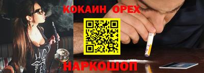 мет Кингисепп