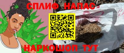 мет Кингисепп