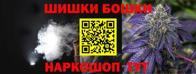 мет Кингисепп