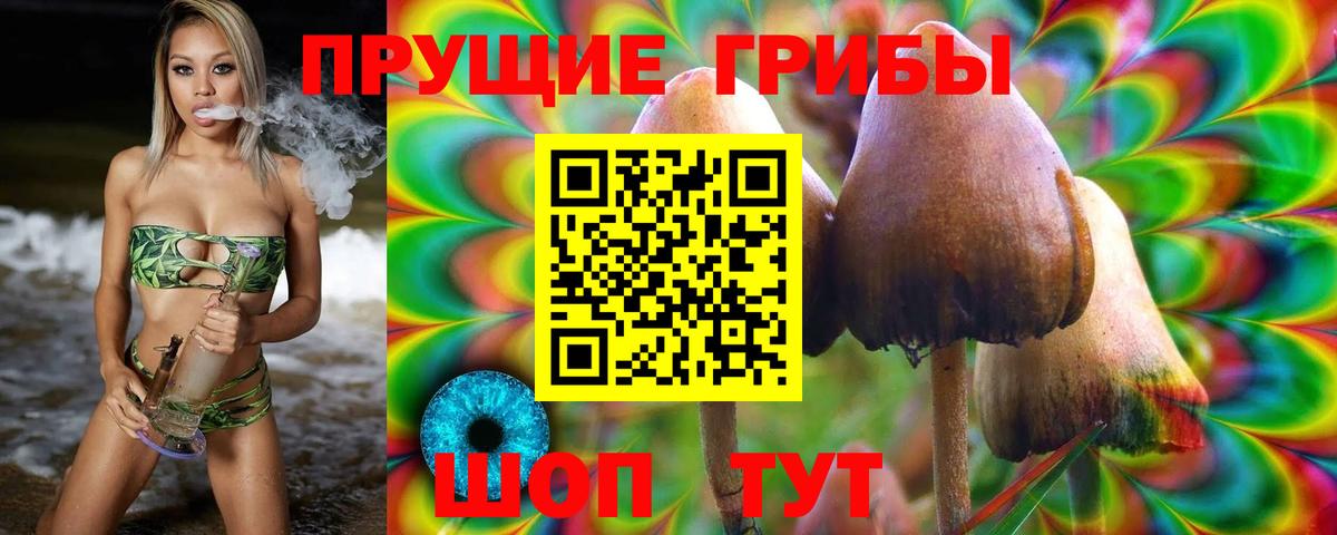 Кузнецк  Галлюциногенные грибы GOLDEN TEACHER  Вход с VPN 